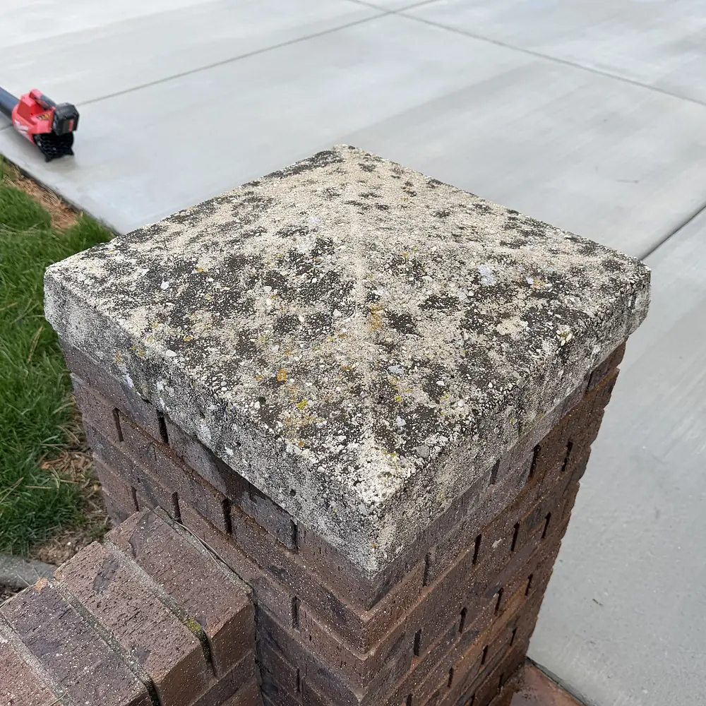 Pillar cap before cleaning: covered in black mold and lichen